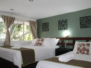 Hotel Tazumal House