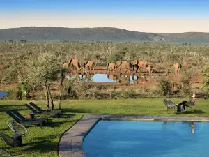 Madikwe Safari Lodge