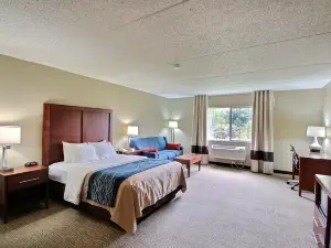 Comfort Inn & Suites Jackson - West Bend