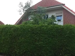 Ruhiges Zimmer Direkt an Den Leineauen