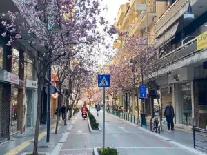 Great Alexander Street, Larisa