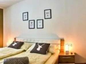 Relax-Suite Kaminfeuer