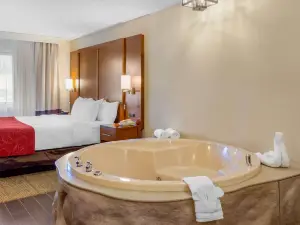 Comfort Suites Oakbrook Terrace Near Oakbrook Center