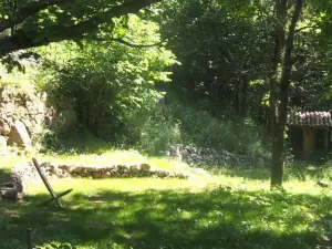 Tente Tipi en Pleine forêt