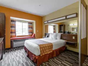 Microtel Inn & Suites by Wyndham Greenville/University Med