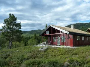 Furulie Cabin - Flå