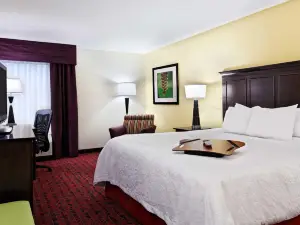 Hampton Inn by Hilton Hopewell Fort Gregg-Adams