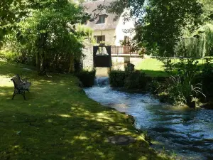 Chambres d'Hôtes & Gites Pouget