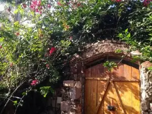 Jardim das orquídeas