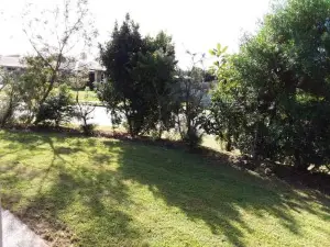 Waratah and Wattle Apartments