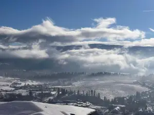 Kelowna New Lake View 2Bedrooms Suite Close Big White