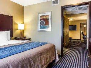 Comfort Inn & Suites Ballpark Area