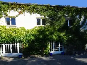 Les Neuf Bouleaux