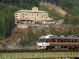 Hotel de Marronnier Gero Onsen