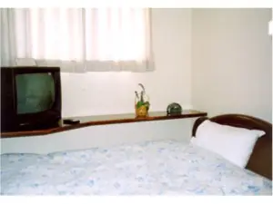 Business Hotel Tanabe Sunshine