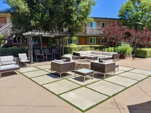 Walk Downtown • Work Here • Fast WiFi • Parking • King Bed • New Kitchen