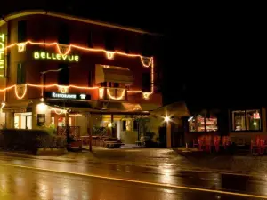 Hotel Bellevue