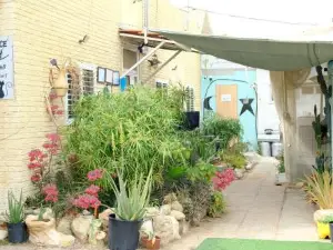 The Lowest Place on Earth B&B