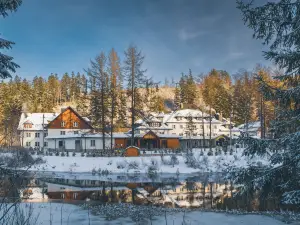 Aries Hotel & Spa Wisła