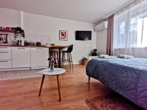 Studio Apartman Mirta I