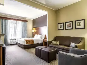 Comfort Suites Hotel and Conference Center
