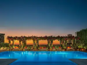 ザ タンパ エディション