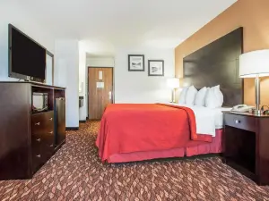 クオリティ イン セント メアリーズ