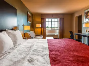 Best Western Plus the Woodlands