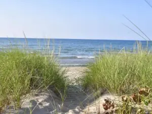 Huge Yard Familyfriendly Smarthome Walk to Beach Dunes Hiking Trails