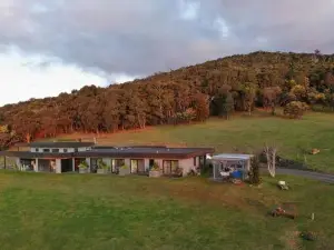 Hanging Rock Views