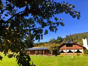 바예 델 카릴레우푸