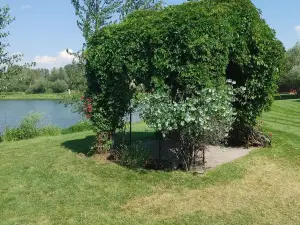 SkyWater Cabins