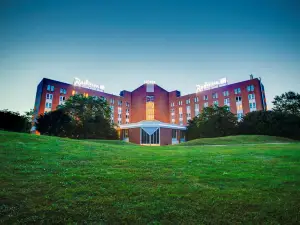 卡爾斯魯厄麗笙酒店