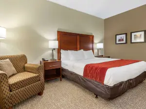 Comfort Inn & Suites Clemson - University Area