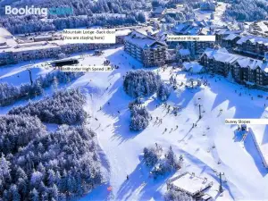 Stroll to Slopes, Village Area, Ski in-Out MtLodge 304