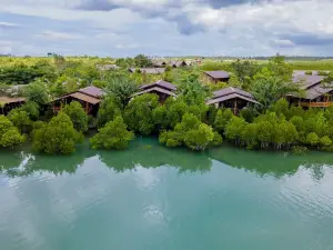 Mangrove View Resort