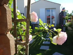 Mer à Pied Vrai Lit Linge Fourni Jardin