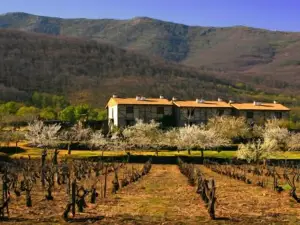 Apartamentos Rurales El Canchal de la Gallina - Jacuzzi en Privado - Parking Gratuito