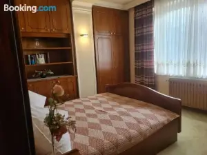 Appartement Schwanenstadt