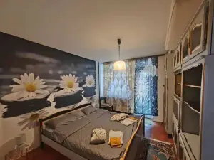 Apartment Korzo