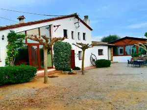 villa 9 hab (16-25) | piscina privada | Can Micos
