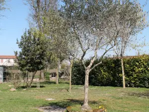 아그리투리스모 레 클레멘티네