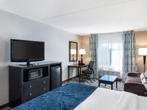 Comfort Inn - Rehoboth