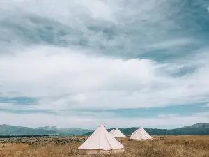 Wander Camp Yellowstone Island Park
