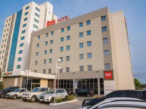 Ibis Guaratingueta Aparecida