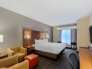 Comfort Suites Loveland