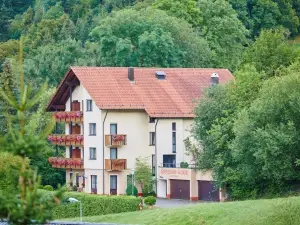 弗萊爾酒店-蓋斯霍夫倫姆赫希