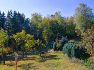 Pension Haus Fürstenberg