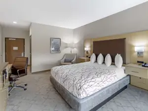 Best Western Plus Chickasha Inn