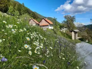Miklavževa hiša with a Bread Oven